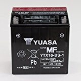 Batterie 12V 14AH YTX16-BS-1, Sans entretien Yuasa DIN 51491 pour Gilera Fuoco 500 M61 | Piaggio MP3 400 M591 | ...