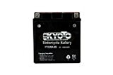 Batterie Moto KYOTO Ytx20a-bs - Ss Entr. Acide L 150mm W 87mm H 161mm 12v 18ah Acide 0,93l
