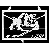 cache radiateur / grille de radiateur Kawasaki Z750 07>12 "Bulldog"