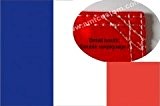 Drapeau Fanion français coutures renforcées - Flag pour motos custom - Harley - Trikes ...