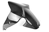Ducati Monster 1200 - fibre de carbone Garde-boue avant fibre de carbone réel