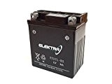 Elektra Batterie YTX7L-BS pour Honda SH (JF09) 125 2001 – 2004 12 V 6 Ah avec acide 246610060
