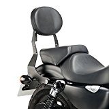 Sissy Bar Harley Davidson Sportster 883 Iron (XL 883 N) 09-16 Customacces noir