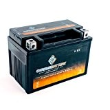 YTX9-BS Power Sports Battery Replaces EXT9 GTX9-BS CYTX9-BS GTX9-BS